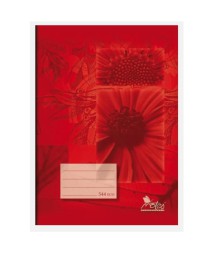 SEIT KOLN NOTES BEZDEV 484