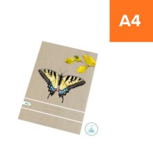 �koln� se�it Ecology 465, A4, �tvere�kovan�, 60 list�